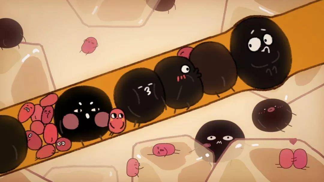 专访《请吃红小豆吧》，一部最不可辜负的国产治愈动画