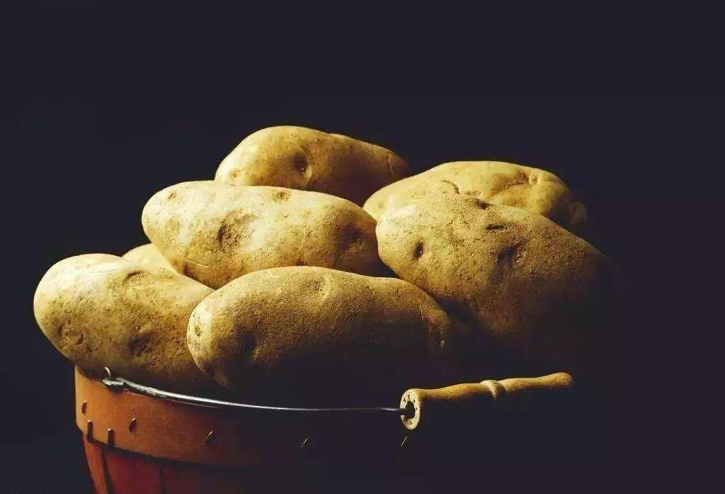 我一生千帆历尽，归来仍是土豆
