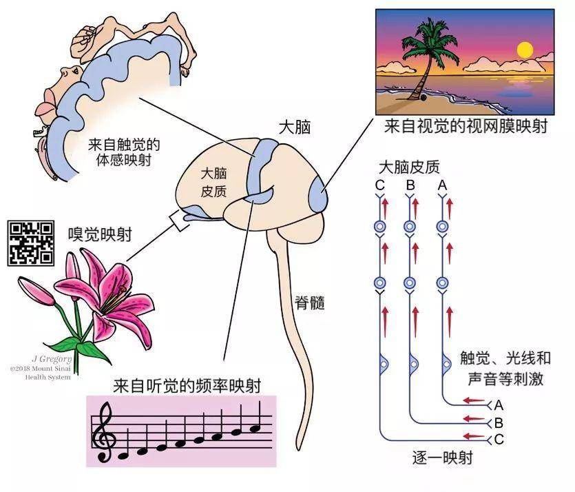 意识可以用科学来解释吗？