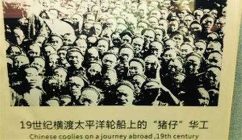 玩游戏学历史：浅谈《荒野大镖客2》中的华人移民潮