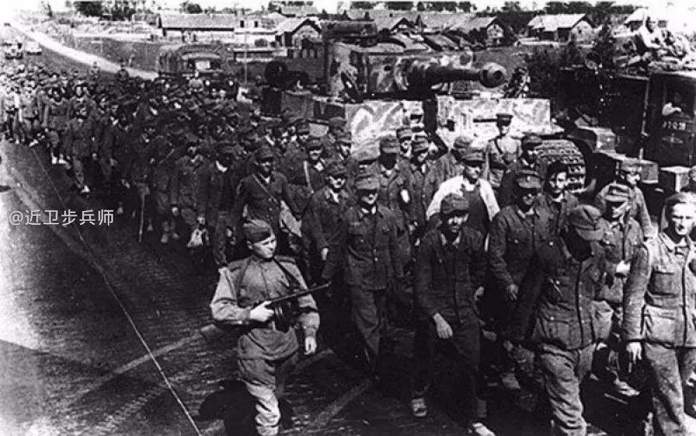 法国伪军第638掷弹兵团在博布尔河：与虎式坦克一起作战
