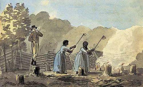 英国崛起背后的血泪史：蔗糖与黑奴间的三角贸易