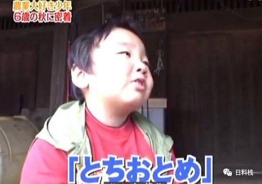 热爱农业的6岁男孩：我的梦想是当日本第一葫芦娃！