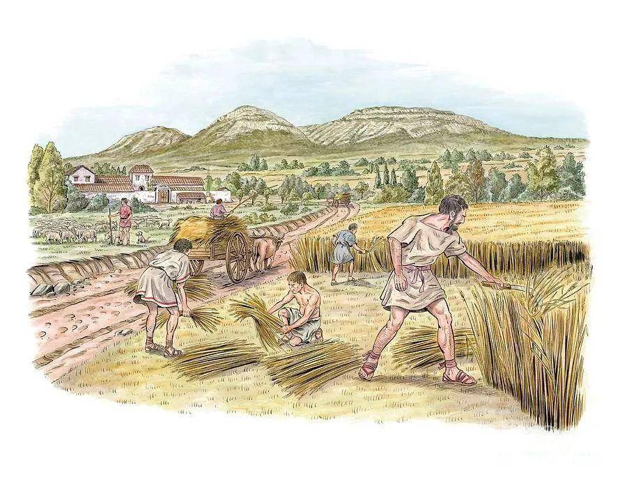 罗马版土地兼并：贵族是如何用奴隶制庄园兼并小农的