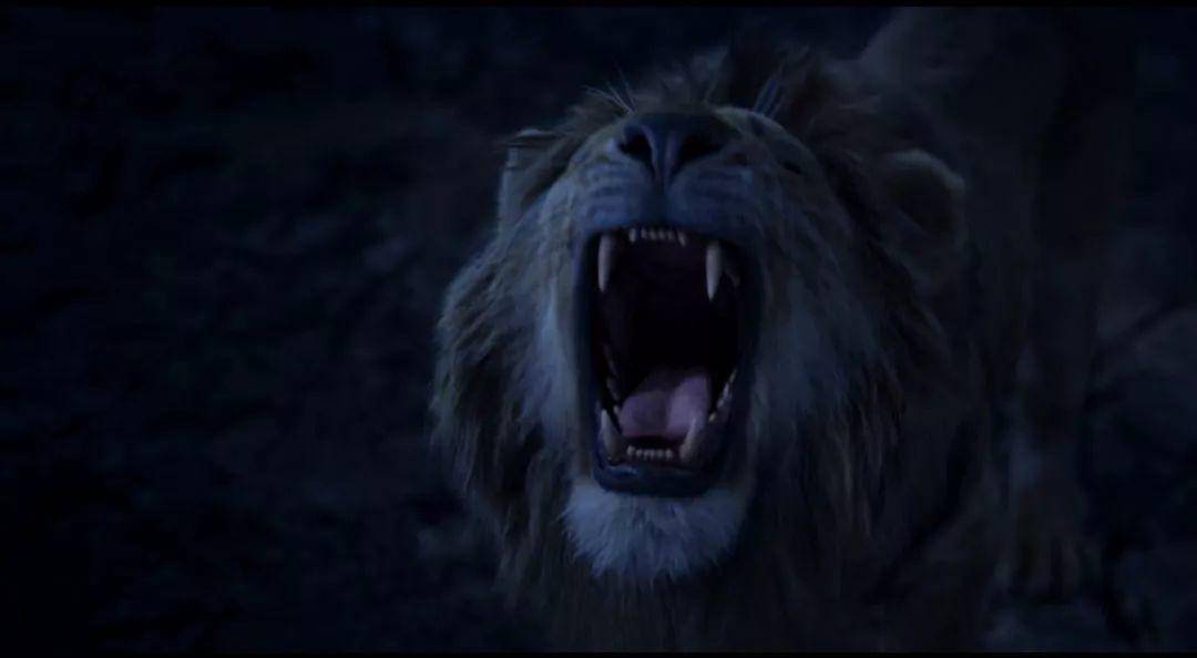 所有人都在吐槽真狮版狮子王，但我还是很爱它