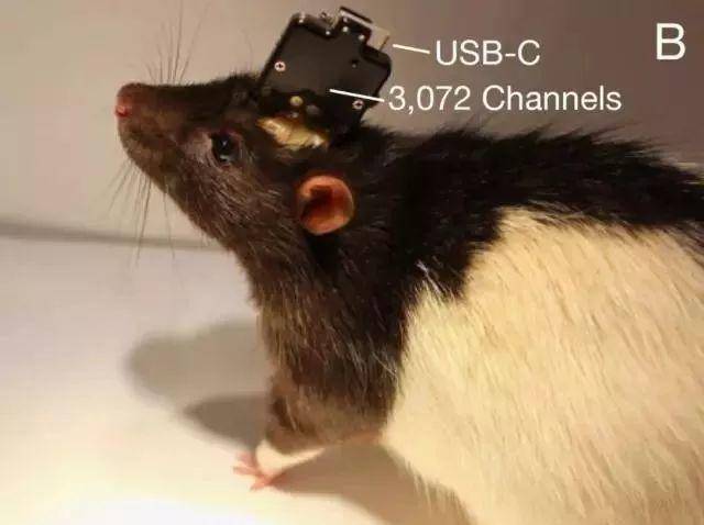 太科幻了，马斯克旗下 Neuralink 昨日发布了脑机接口